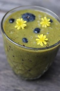 Blueberry Amaranth smoothie with whole blueberries and Nipplewort flowers
