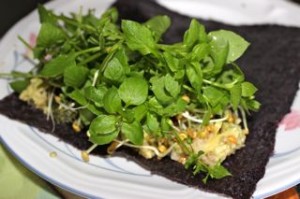 Chickweed, fenugreek sprouts and avocado chestnut wrap