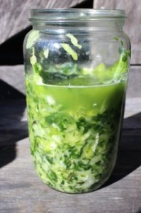 Pack into a jar, put pieces of cabbage leaves on top