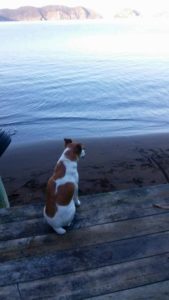 Pete on dolphin watch