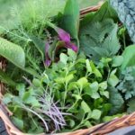 Ten reasons to eat ‘weeds’